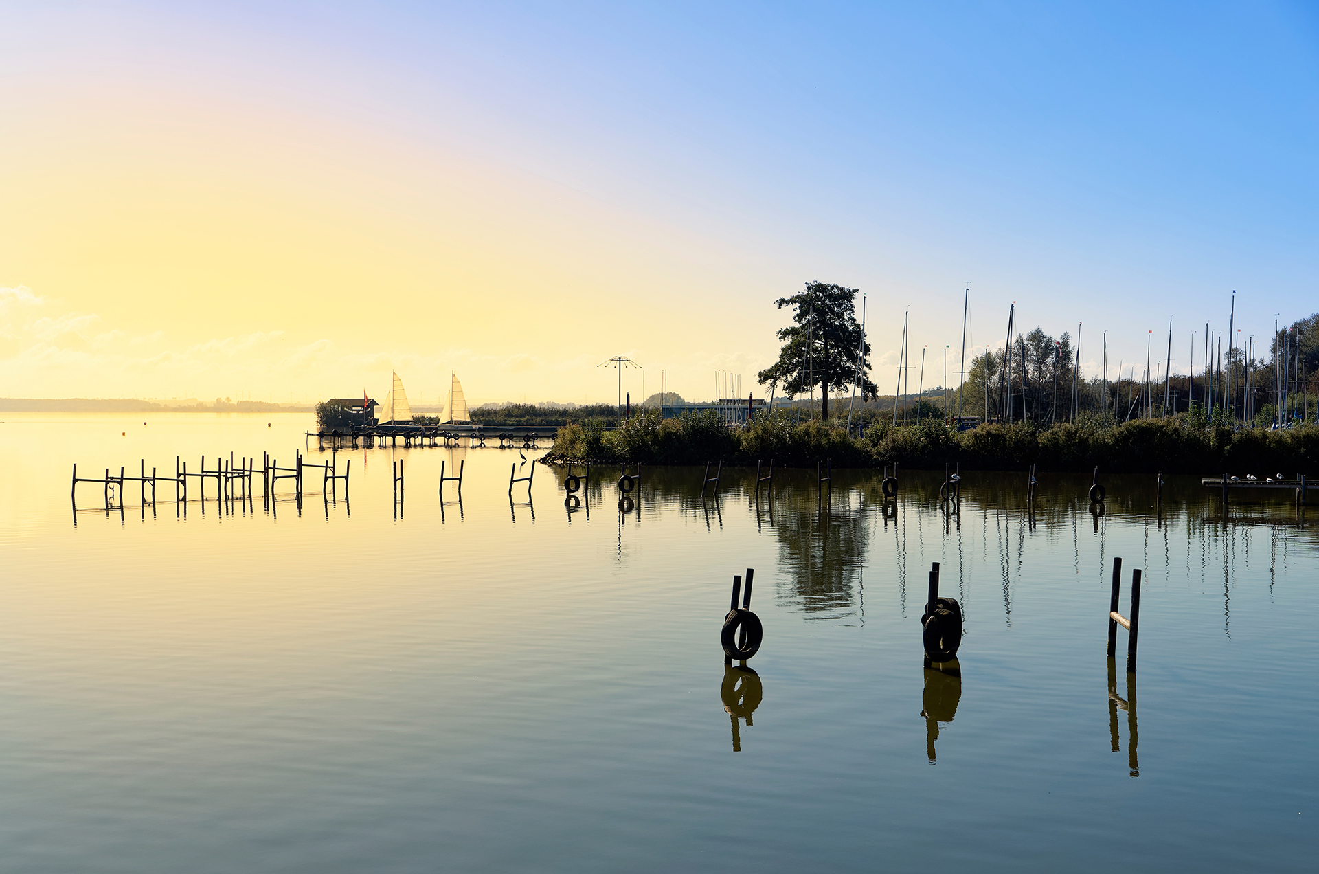 Dümmer See